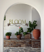 Bloom Where You Are Planted Wall Decal