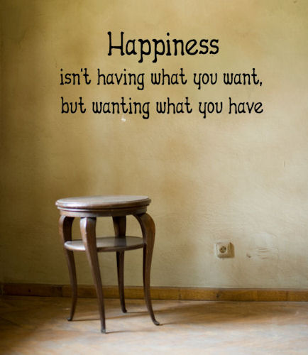Happiness Wanting What You Have Wall Decals  