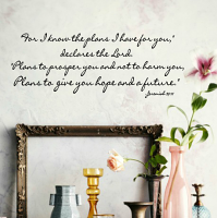 The Plans I Have For You Wall Decal 