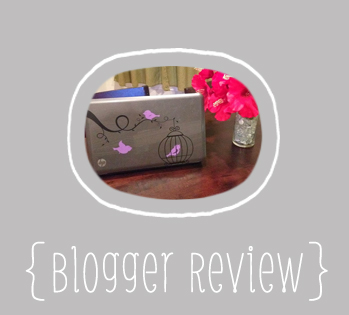 Blogger Review- Birdcage & Birds Laptop Decal