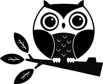 Cute Baby Owl | Wall Decals