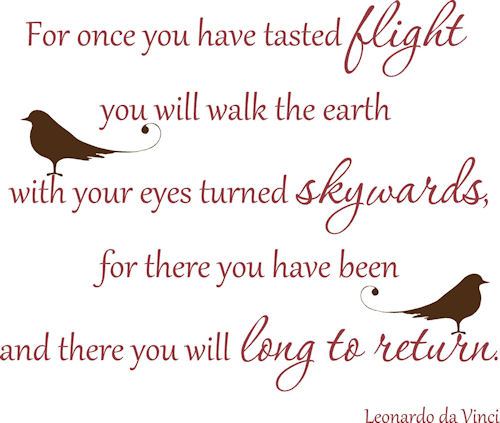 Tasted Flight Leonardo Da Vinci  Wall Decals 