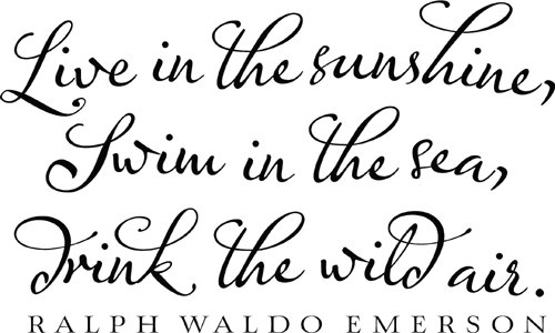 Live In The Sunshine Emerson Wall Quote  