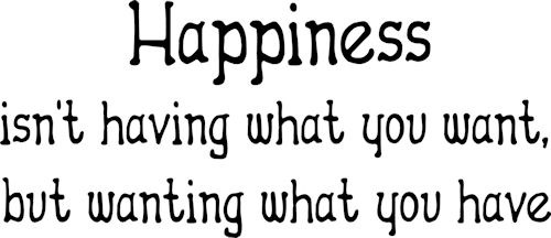 Happiness Wanting What You Have Wall Decals  