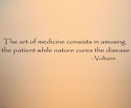 Voltaire Art Of Medicine Wall Decal 