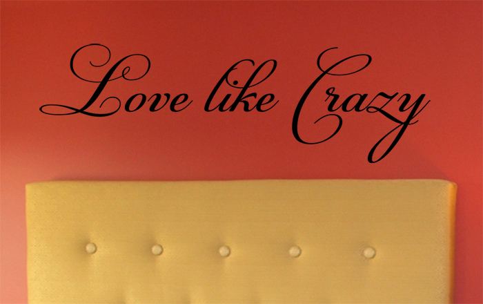 Love Like Crazy | Wall Decal