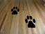 Paw Print Wall Decal