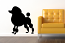 Poodle Wall Decal