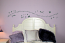 Fairy Wings | Wall Decals