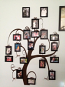 Family Frame Tree  Wall Decal