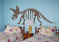 Triceratops Skeleton Wall Decal