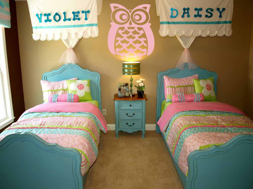 Crazy Owl Wall Decal