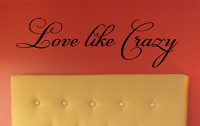 Love Like Crazy | Wall Decal