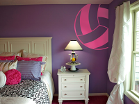 Volleyball Outline Wall Decal